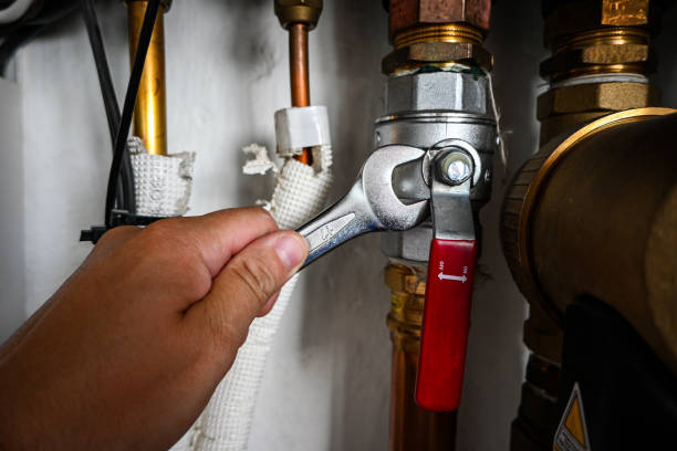 Best Water Leak Repair  in Browntown, PA